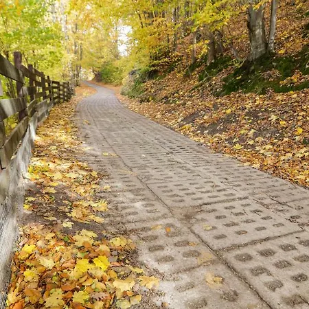 Гостевой дом Mm Kaszuby Lapalice