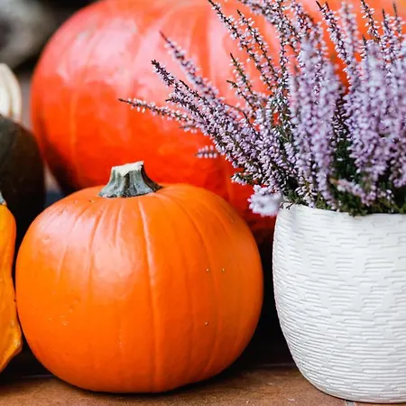 Гостевой дом Mm Kaszuby Lapalice