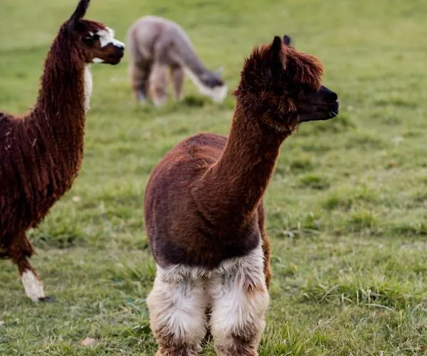 Mm Kaszuby Guest house