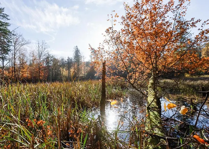 Guest house Mm Kaszuby