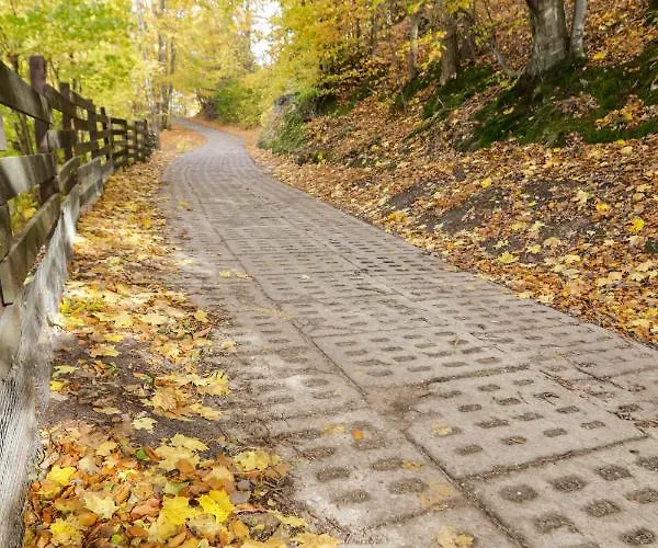 Guest house Mm Kaszuby Lapalice