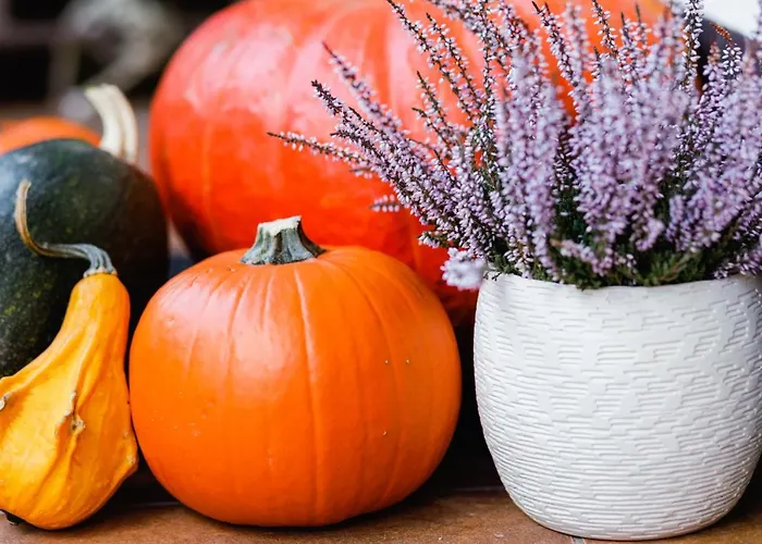 Guest house Mm Kaszuby Lapalice